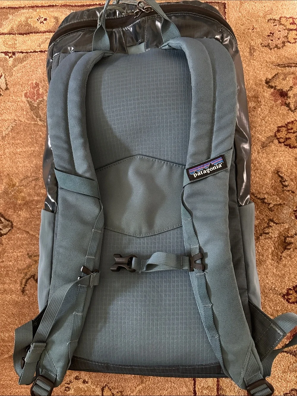 Patagonia Black Hole Pack 25L
